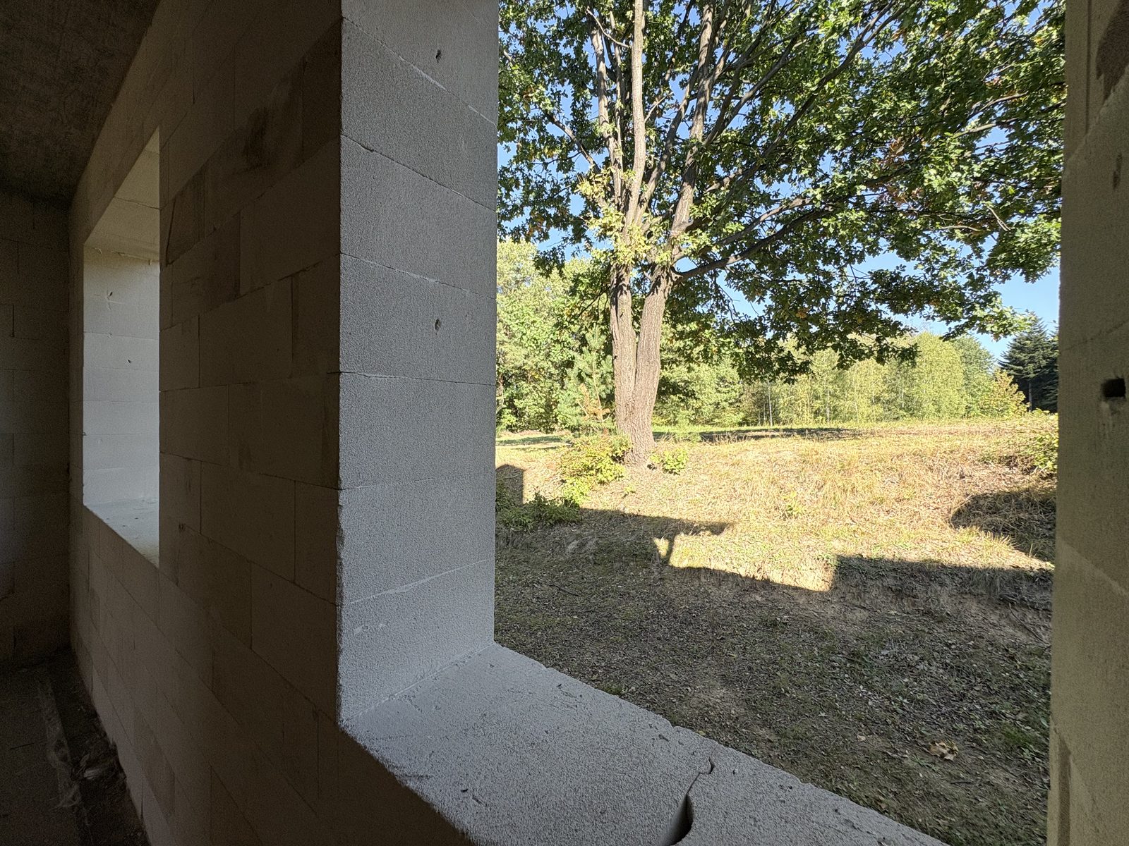 Bliźniak w Drogini — miniatura 37